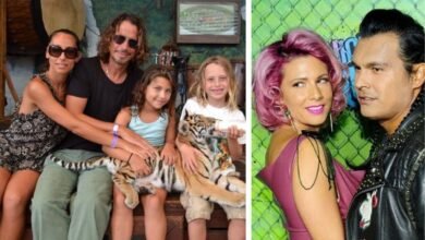 Summer Tiger