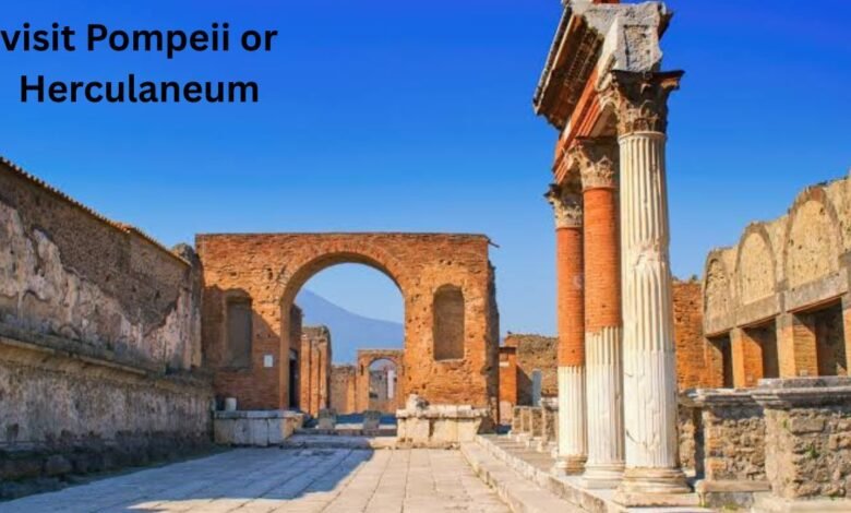 visit Pompeii or Herculaneum