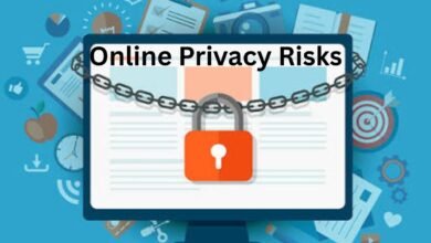 Online Privacy Risks