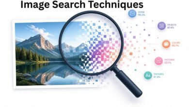 Image Search Techniques