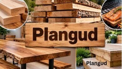 Plangud