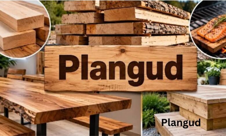 Plangud