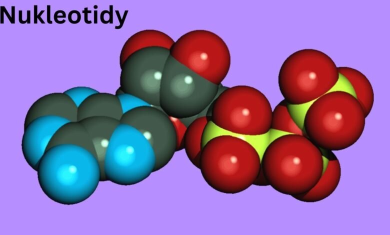 Nukleotidy