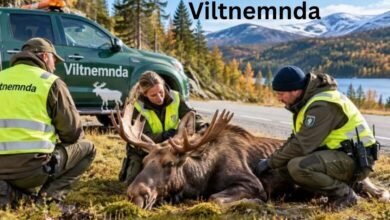Viltnemnda