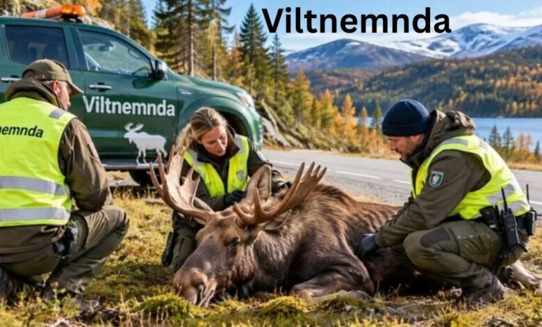 Viltnemnda