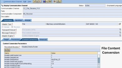 File Content Conversion