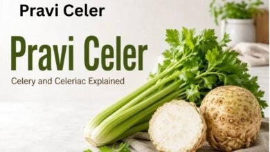 Pravi Celer