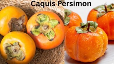 Caquis Persimon
